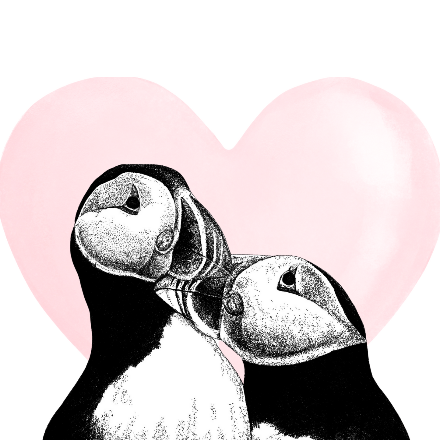 Puffins In Love Card