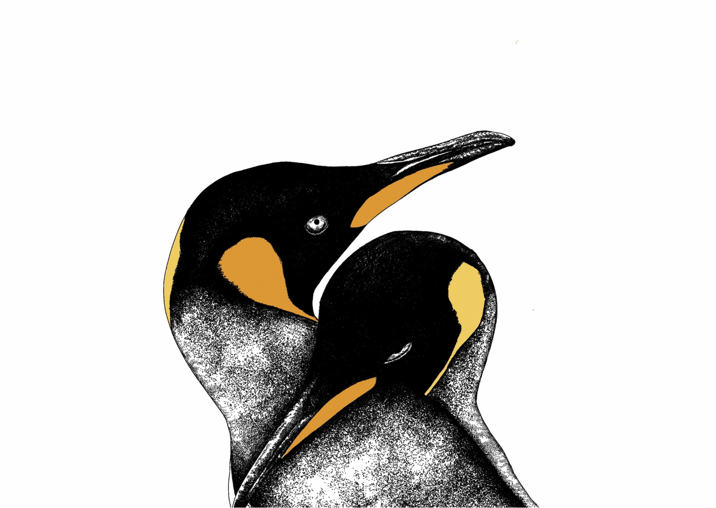 Penguin Embrace Card