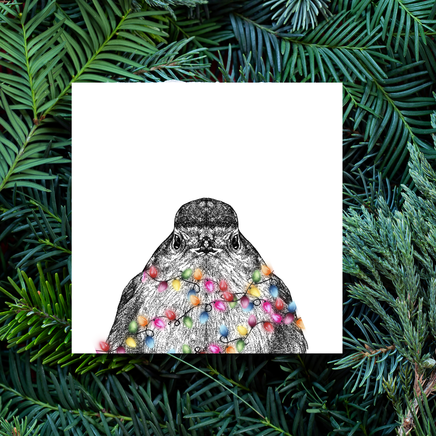 In A Tangle Robin Greeting Card