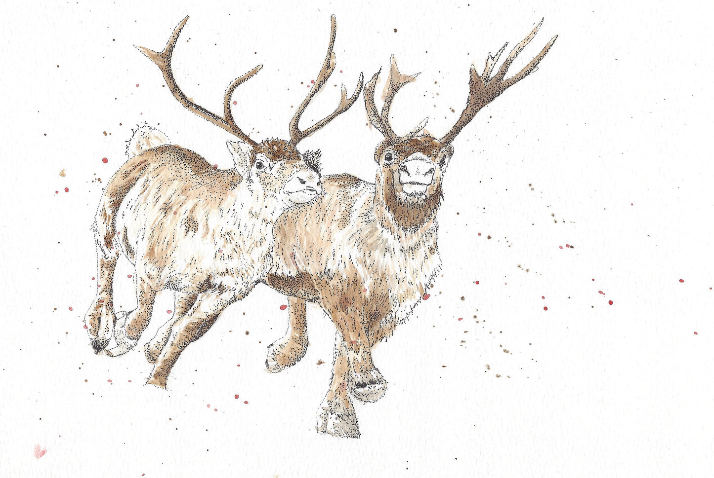 Reindeer Racing Card