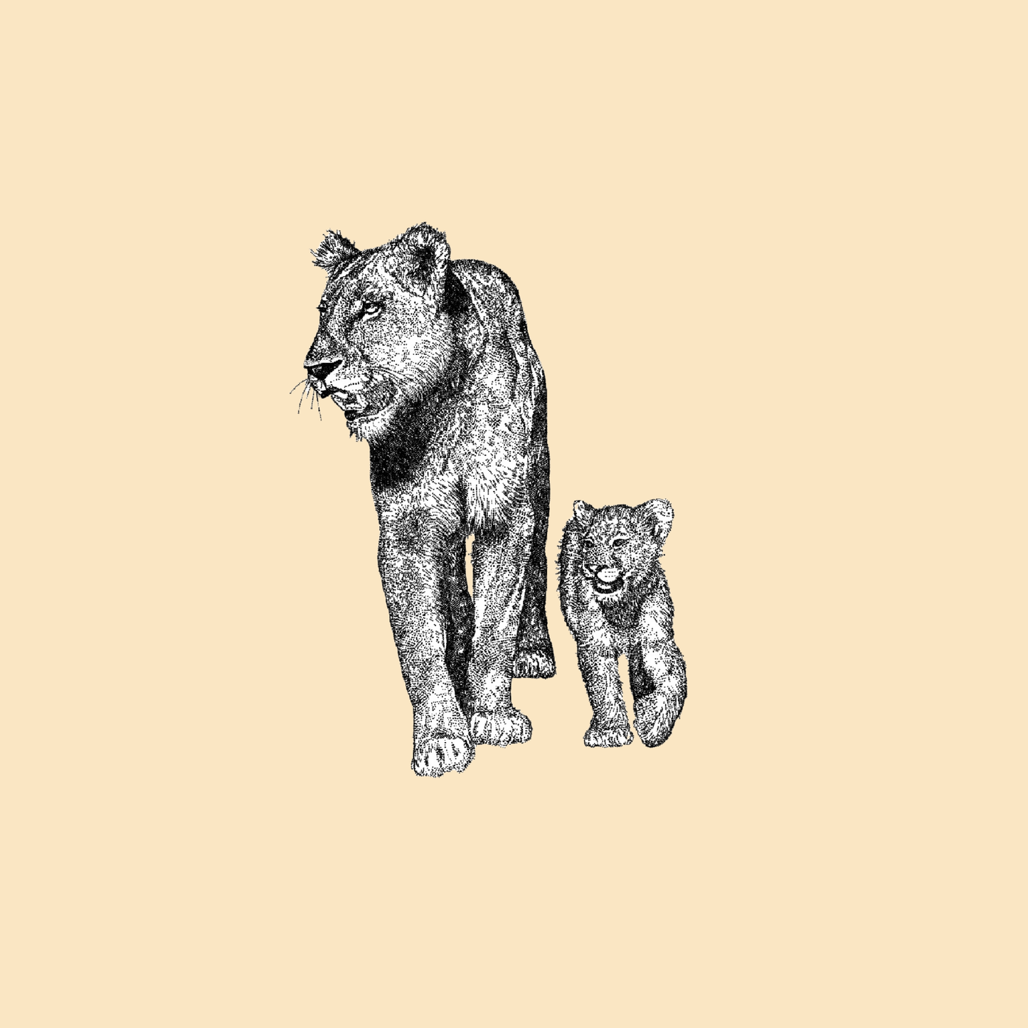 Fierce Love – Lioness and Cub Greeting Card