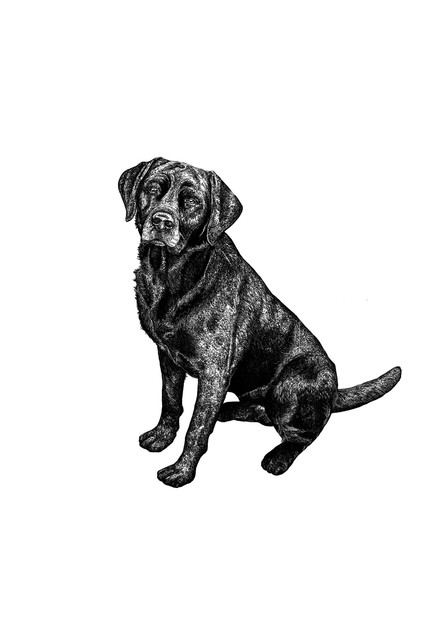 Custom Single Pet Portrait Commission