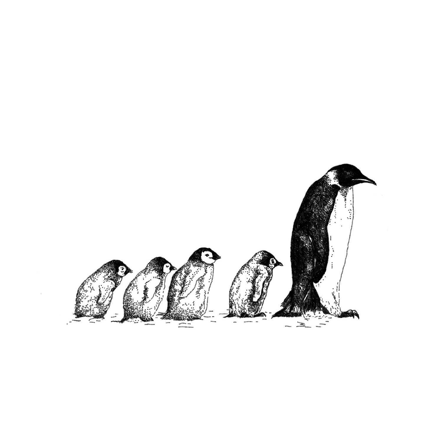 Emperor Penguin and Chicks Card