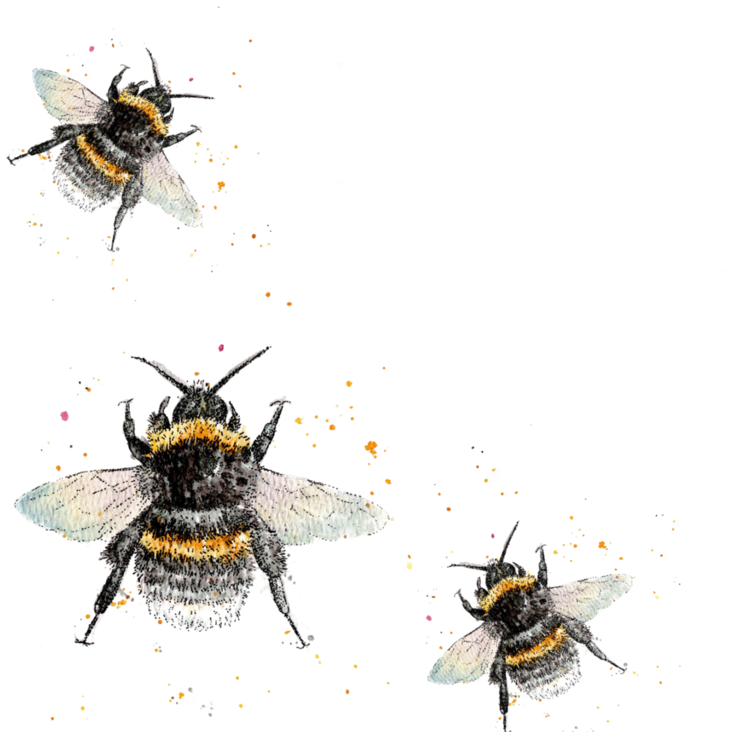 Watercolour Busy Bee Card