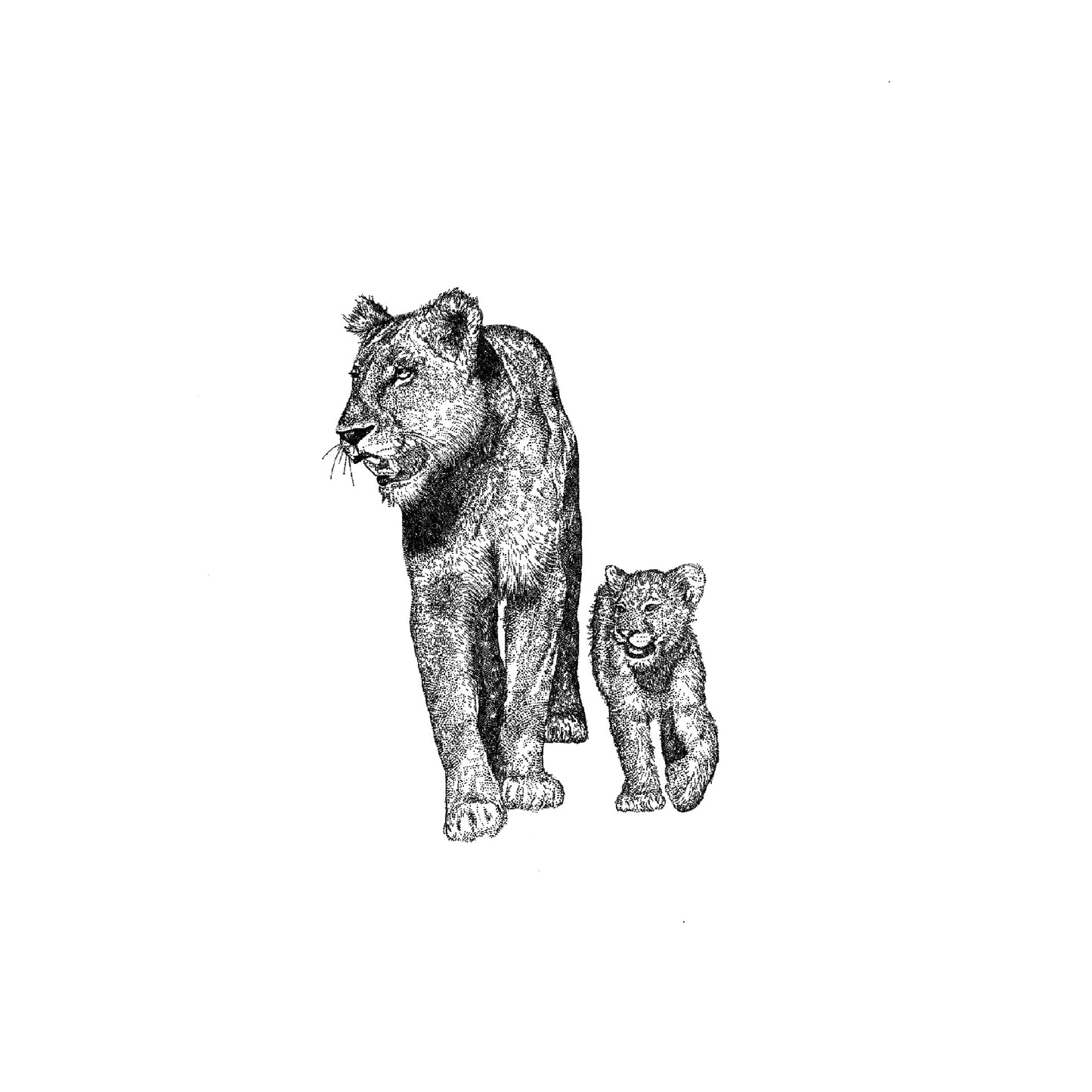 Fierce Love – Lioness and Cub Greeting Card