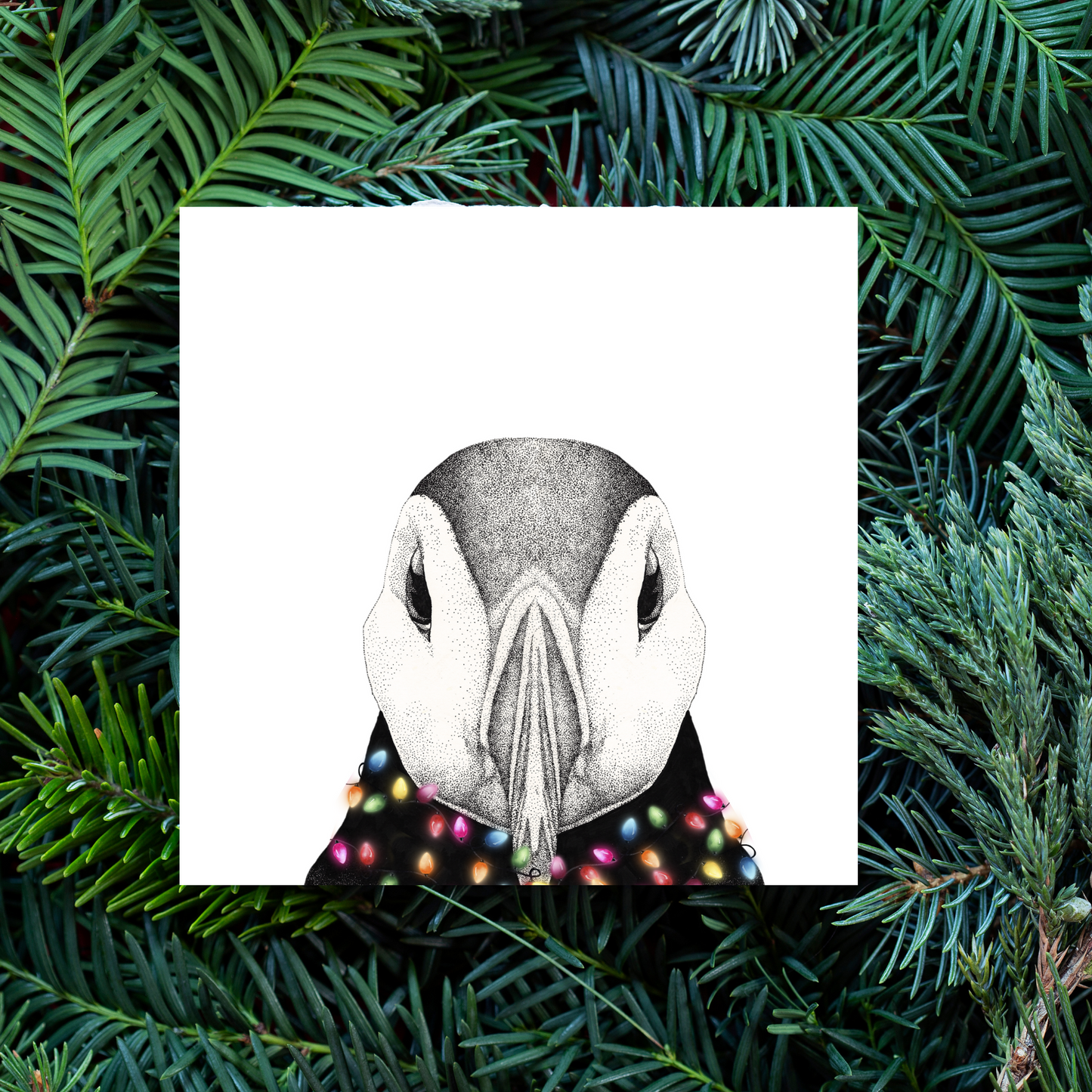 In A Tangle Puffin Greeting Card