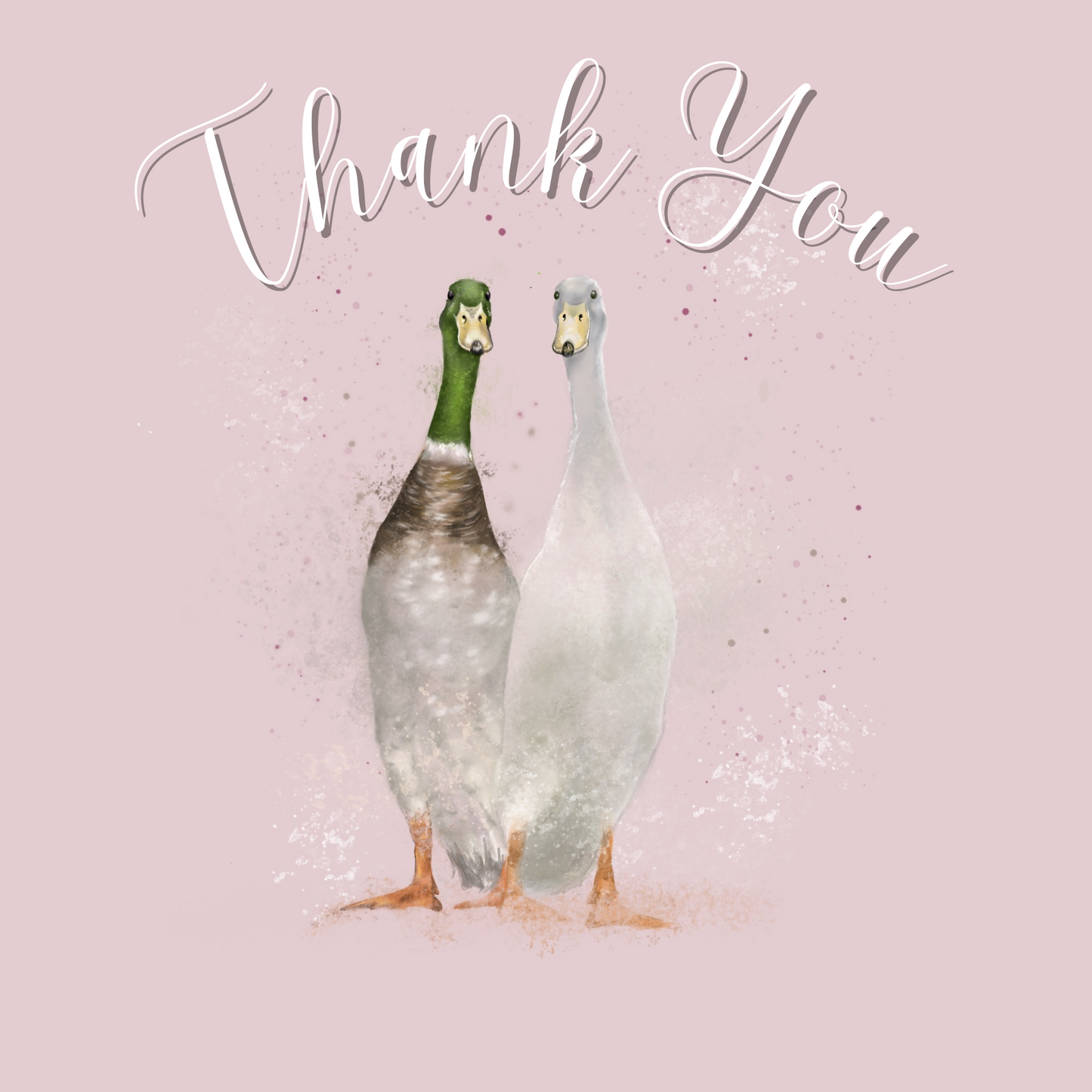 Ducks Thank You Card