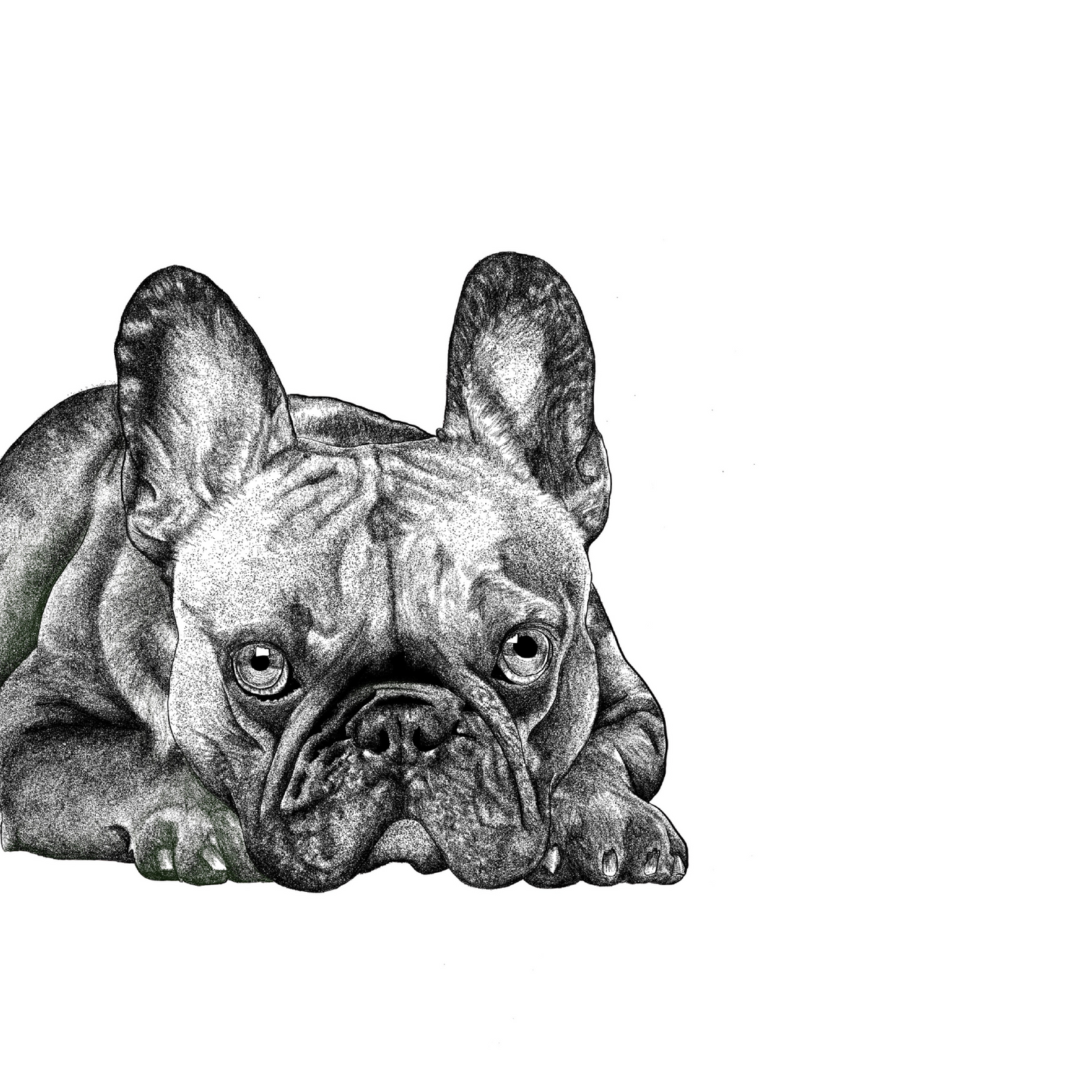 Frenchie Dog Print