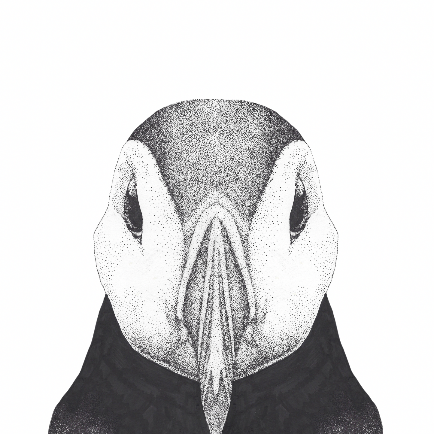 Black and White Puffin Bone China Mug