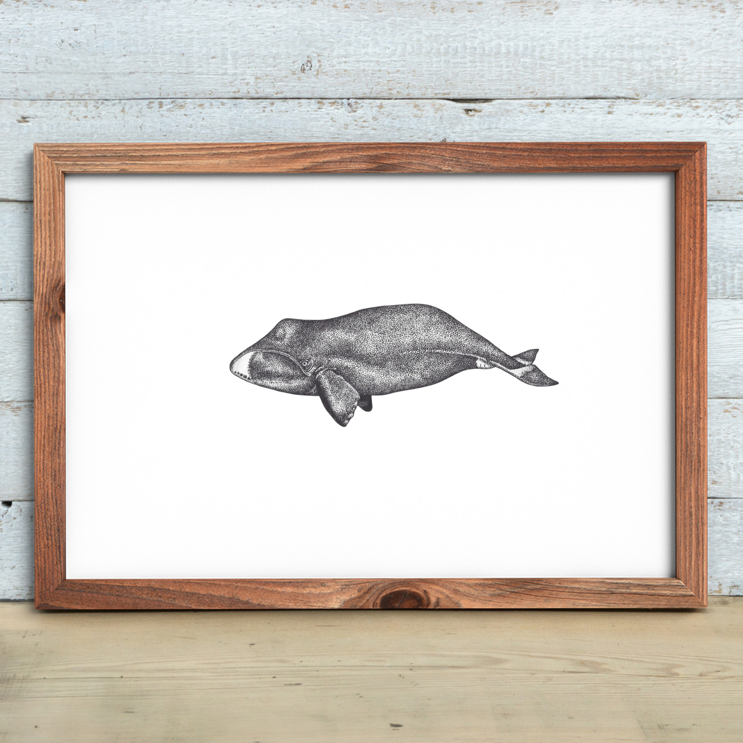 Whale Print Set
