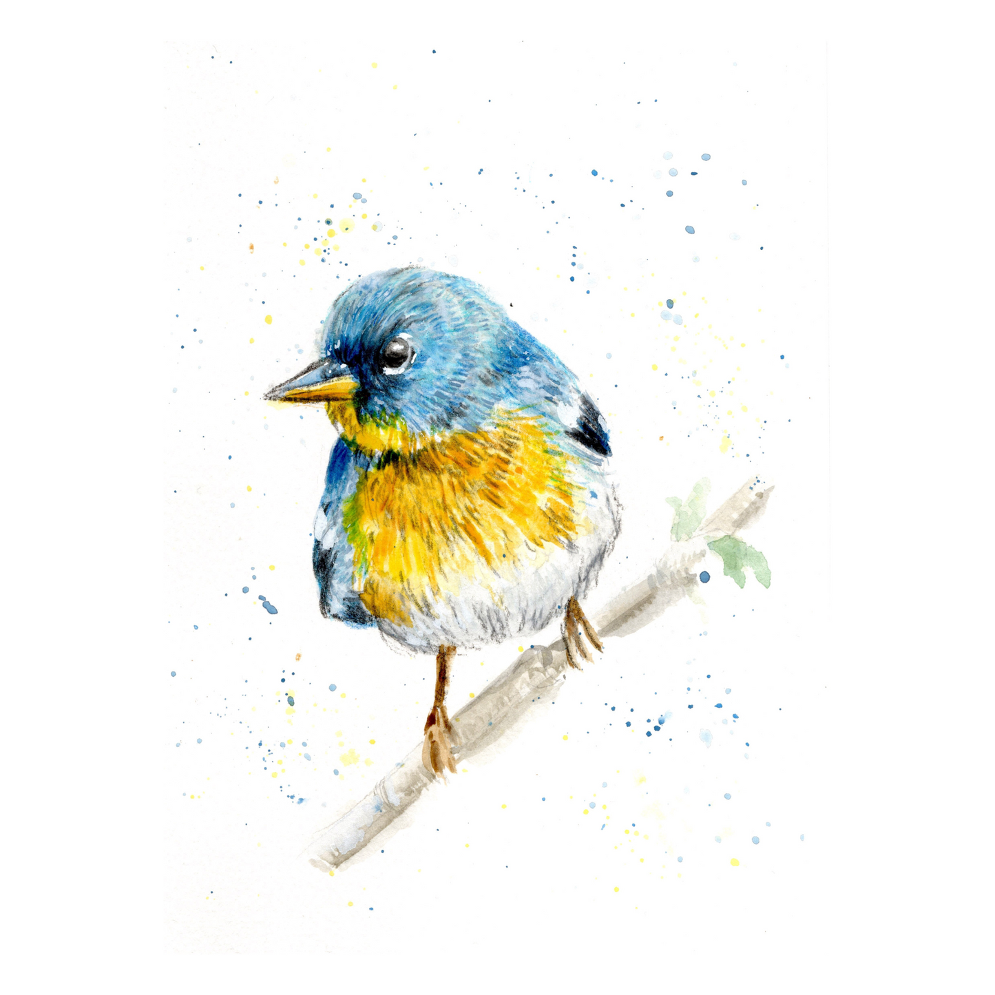 Watercolour Blue Tit Card