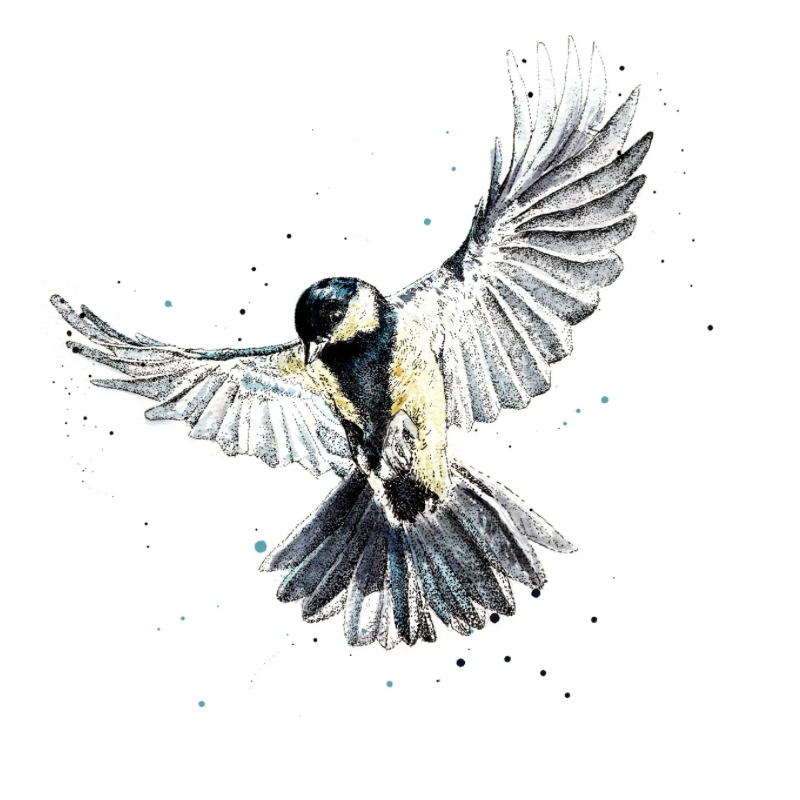 Blue Tit Rising *Limited Edition Art Print*