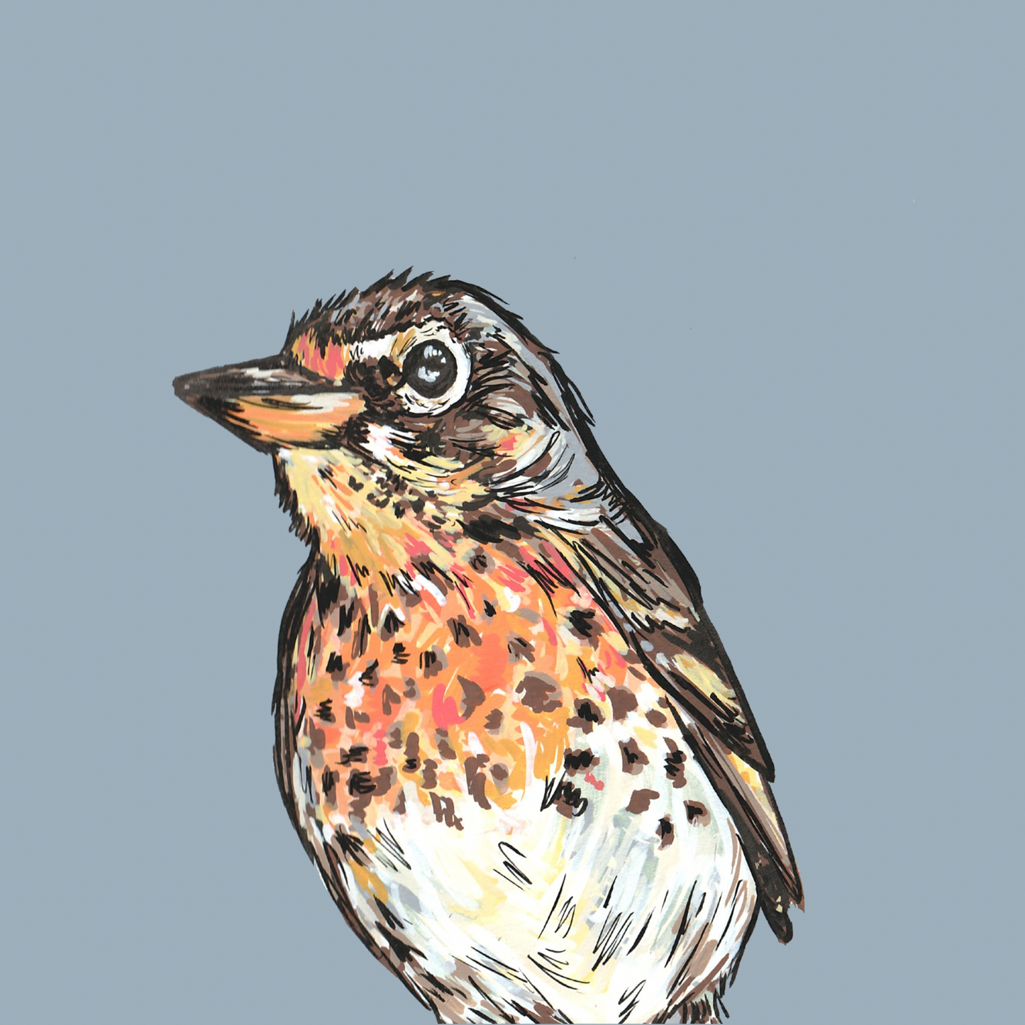 Song Thrush British Bird Card