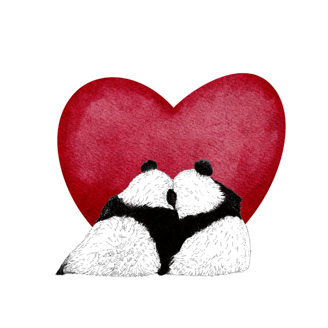 Panda Heart Love Greeting Card