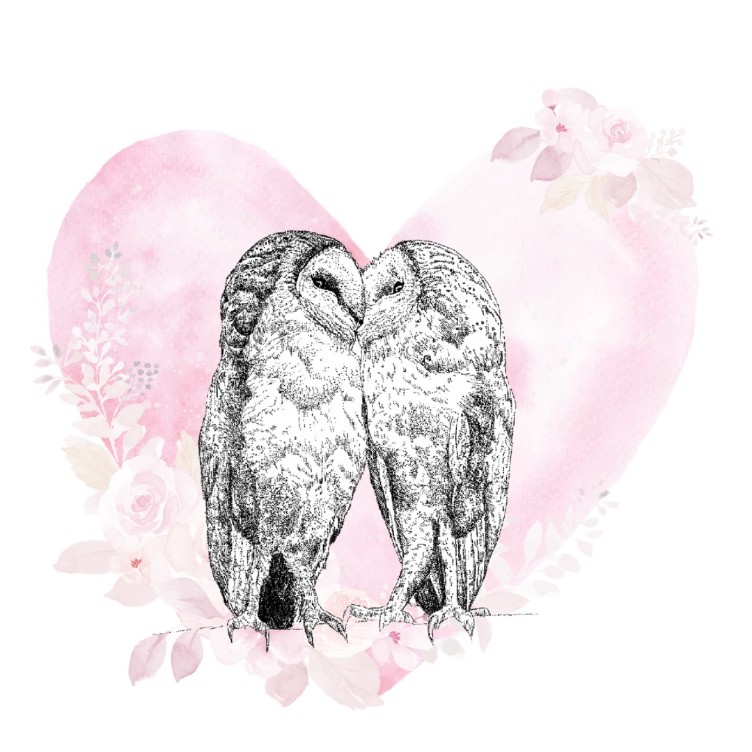 Owl Heart Love Greeting Card