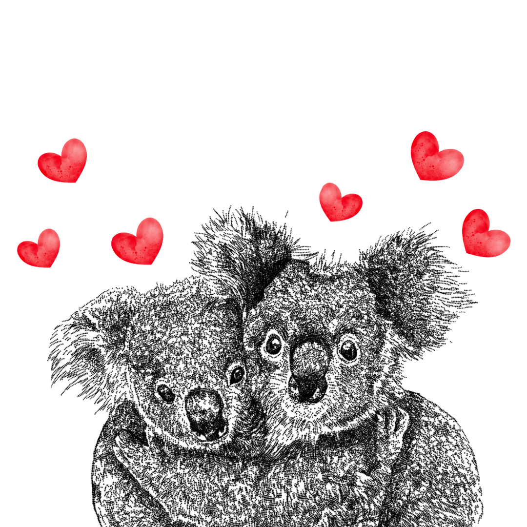 Koala Heart Love Greeting Card