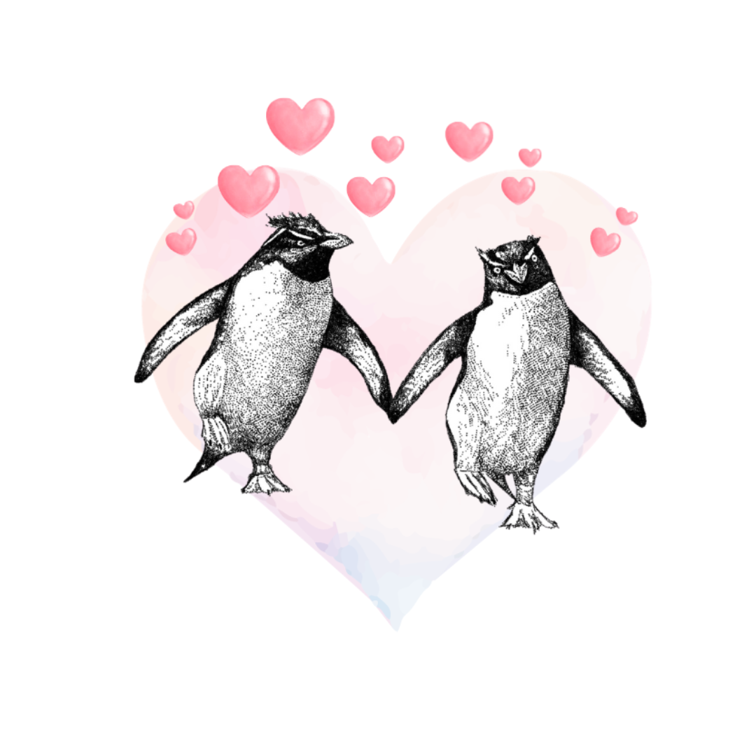 Penguin Heart Love Greeting Card