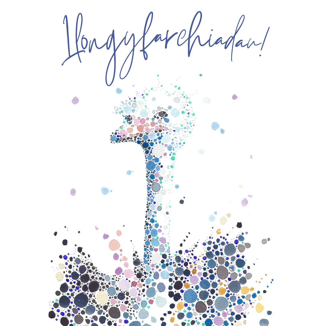 Llongyfarchiadau, Congratulations Ostrich Welsh Card