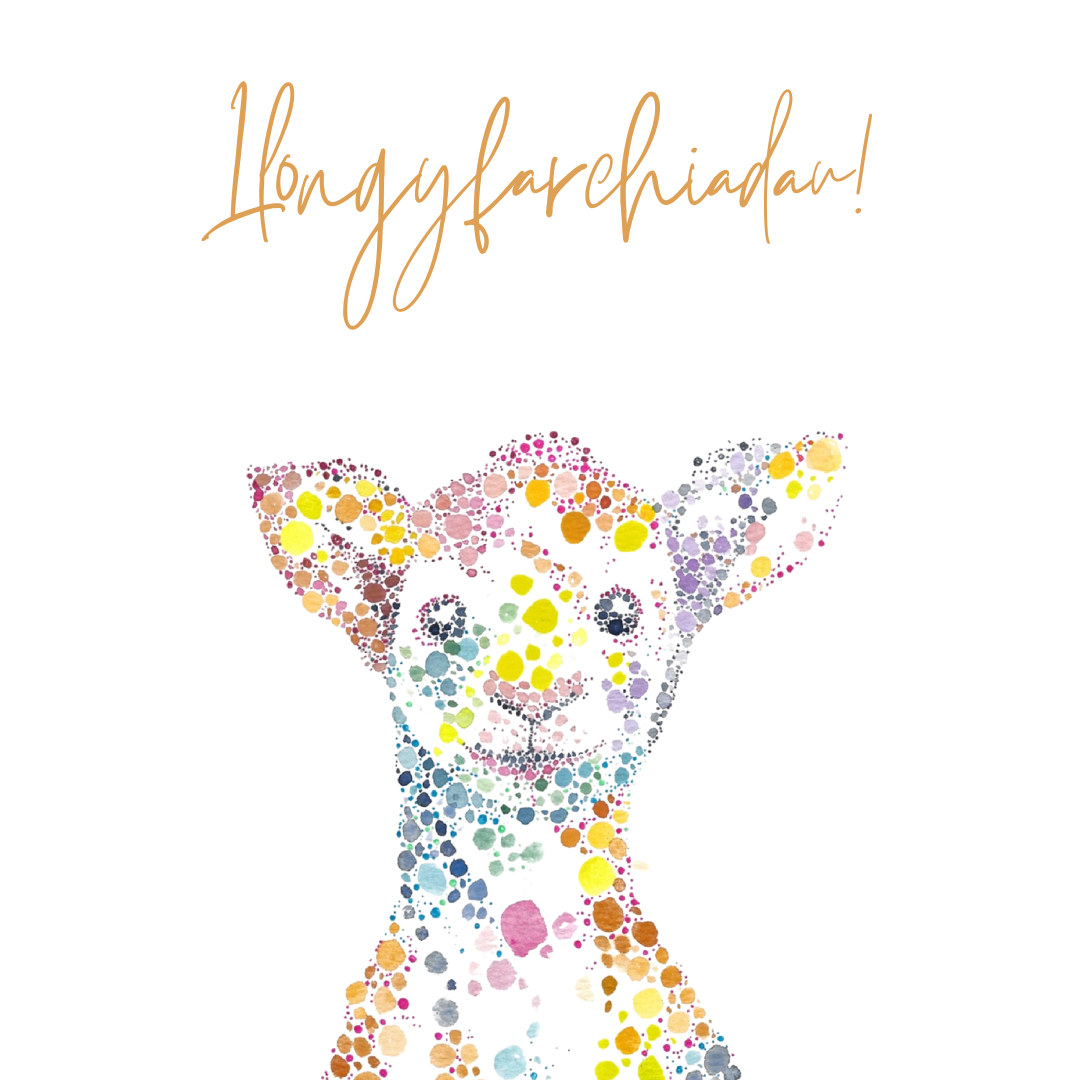 Llongyfarchiadau, Congratulations Lamb Welsh Card