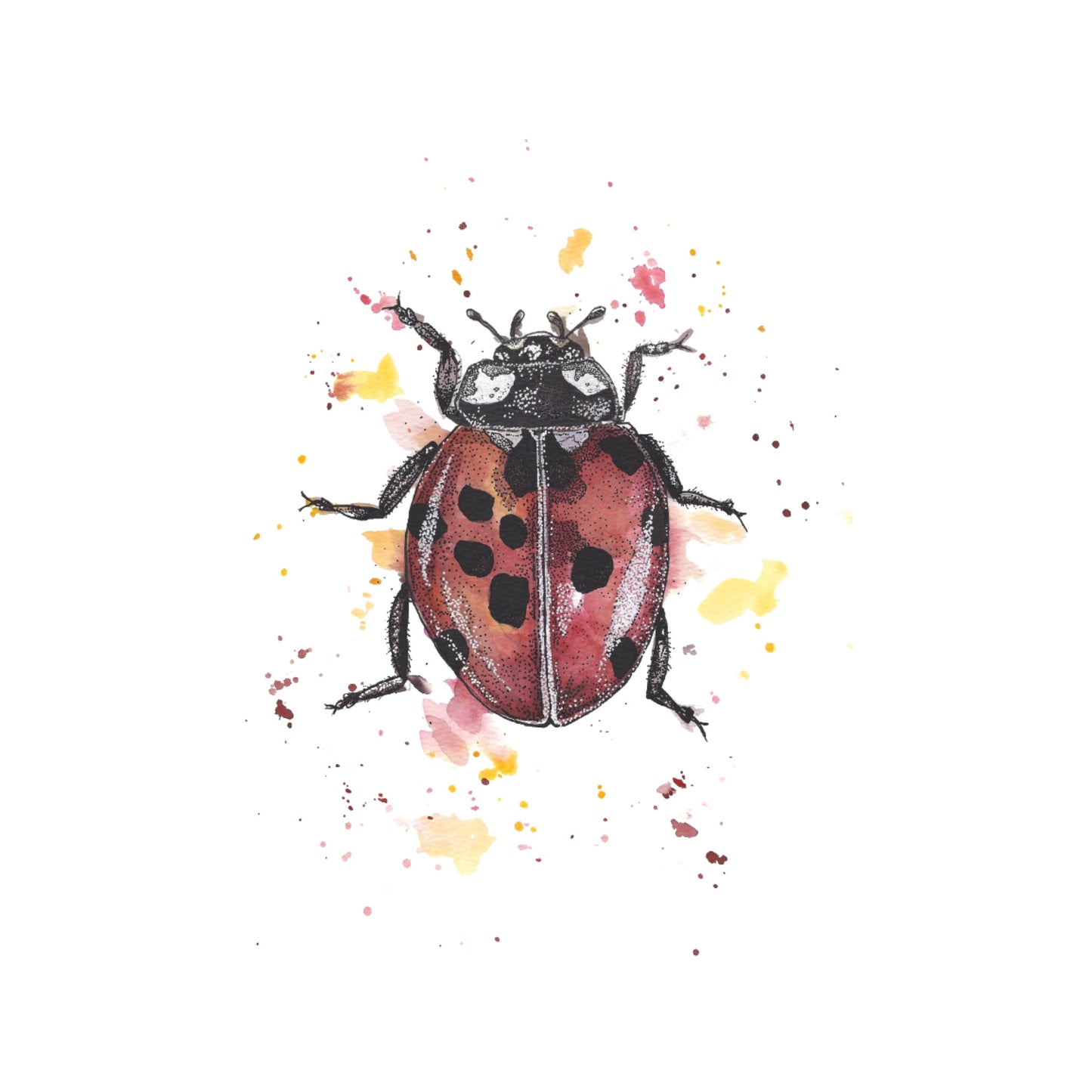 Ladybird Watercolour Print