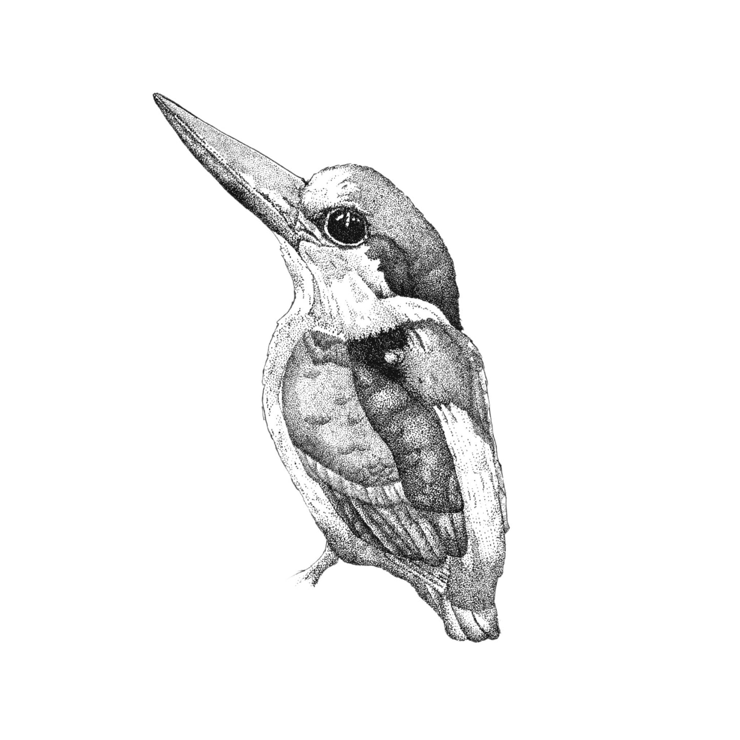 Kingfisher Print