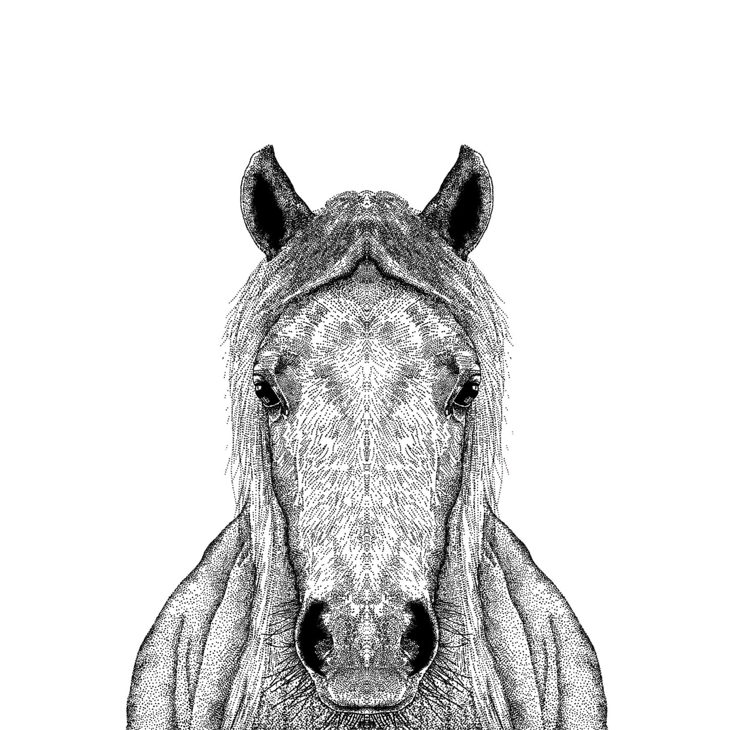 Horse Print