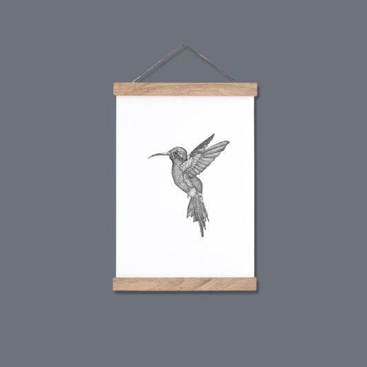 Hummingbird Print