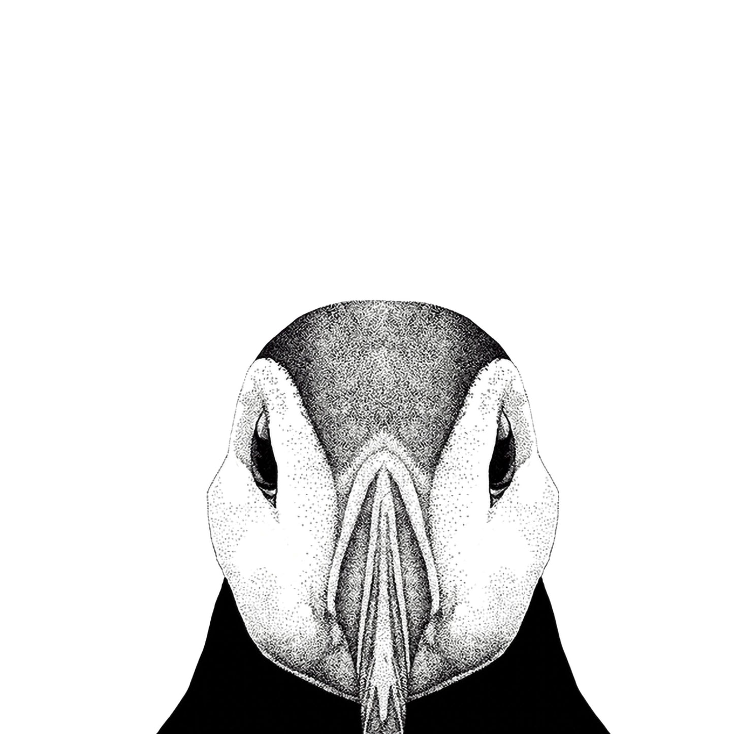 Puffin Print