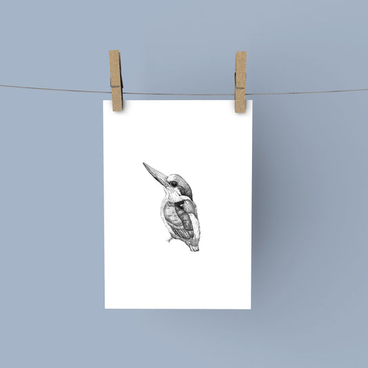 Kingfisher Print
