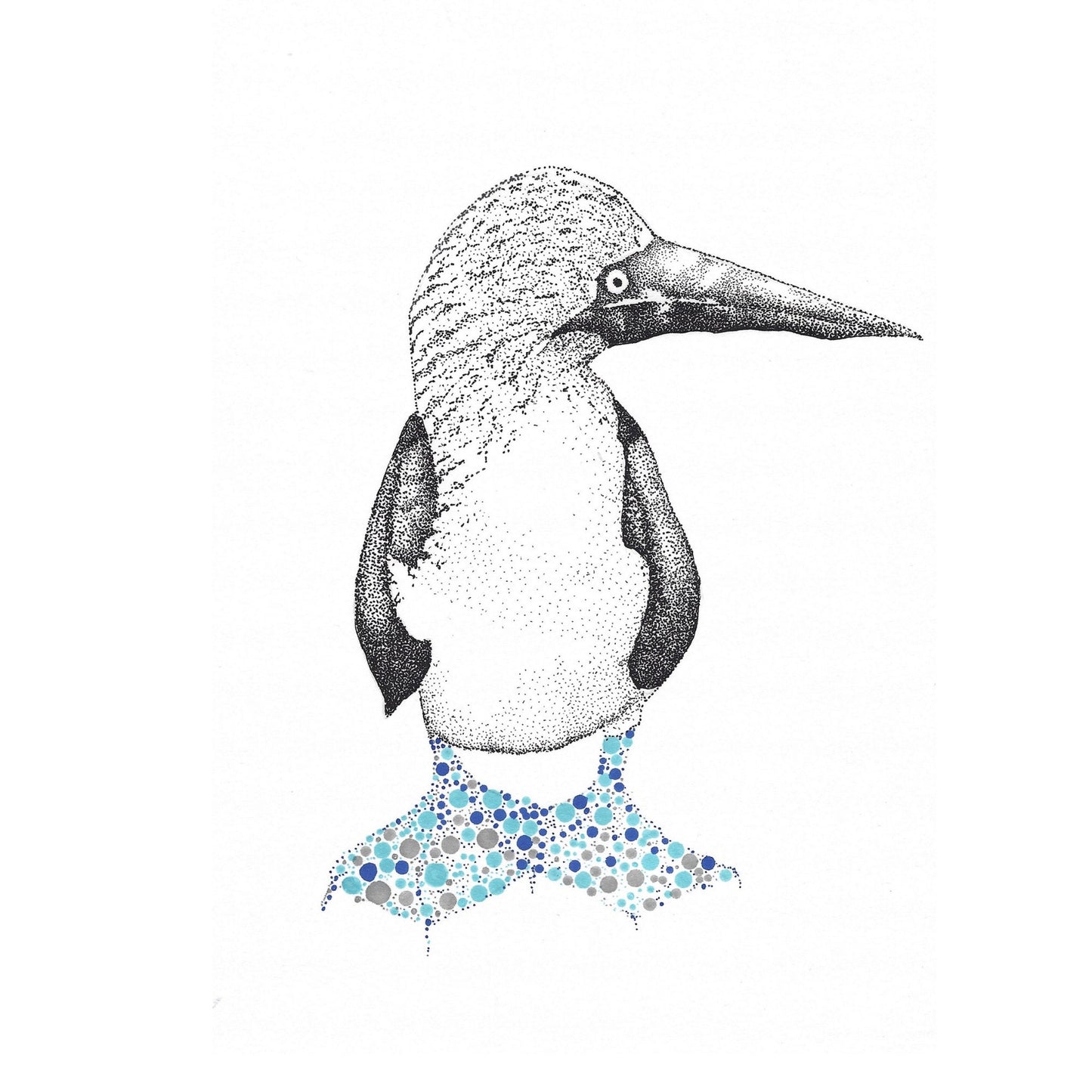 Watercolour Bird Cards