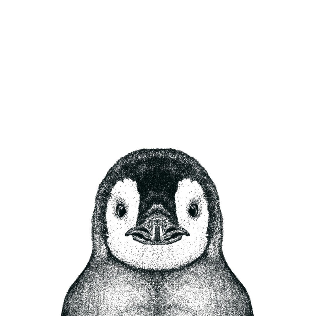 Perry the Penguin Greeting Card