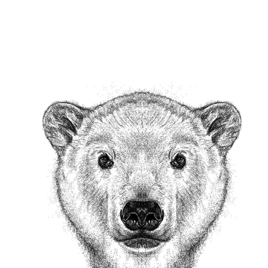 Pooky the Polar Bear Greeting Card