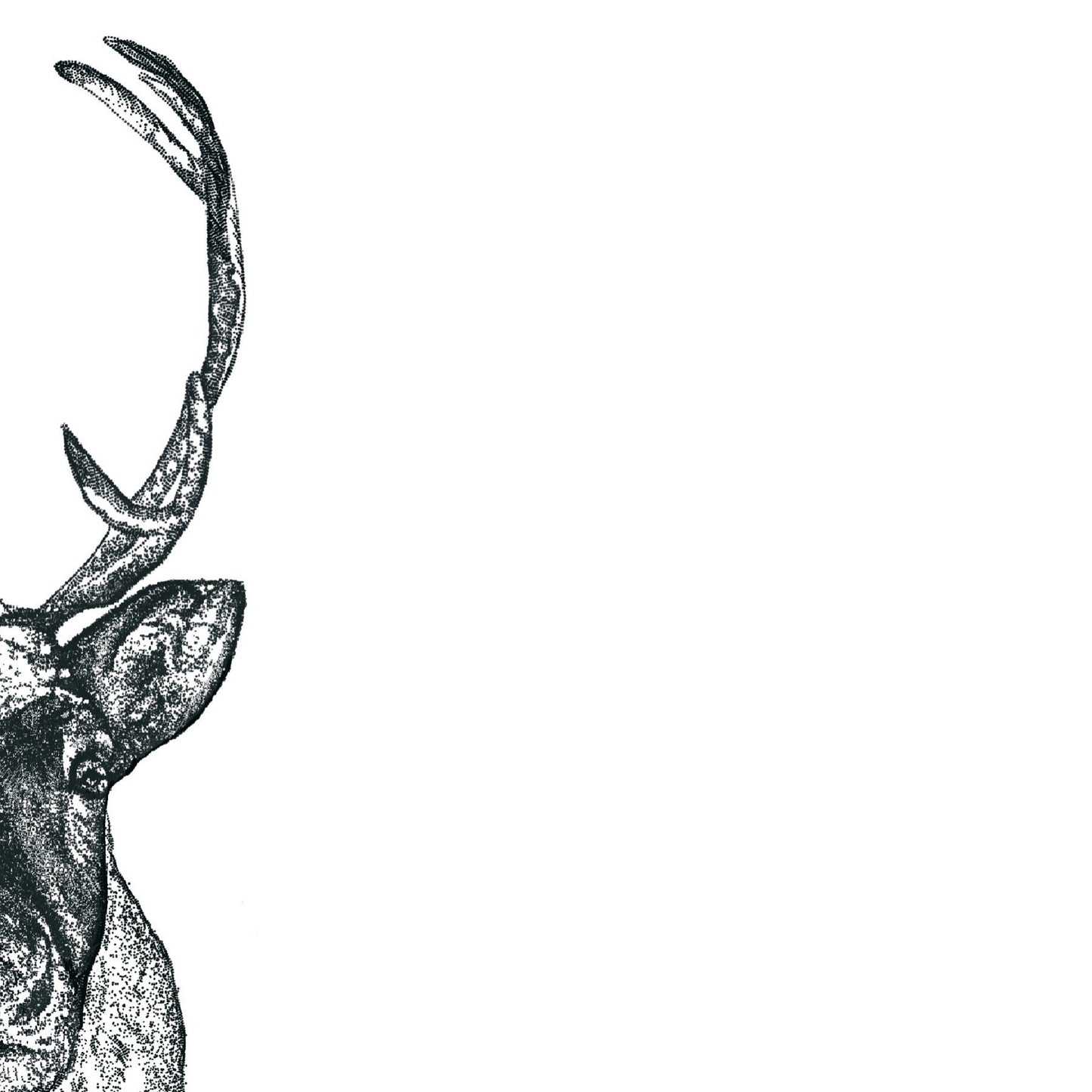 Woolly Remy the Reindeer Half Greeting Card