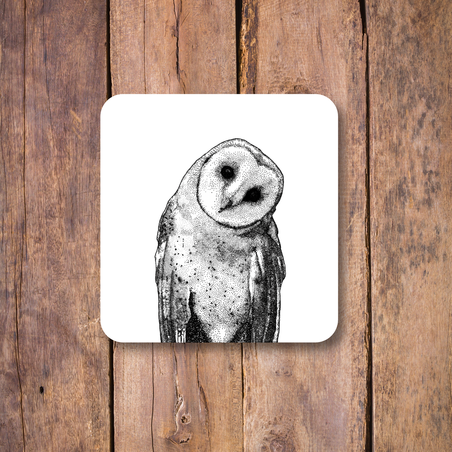 Owl Coaster