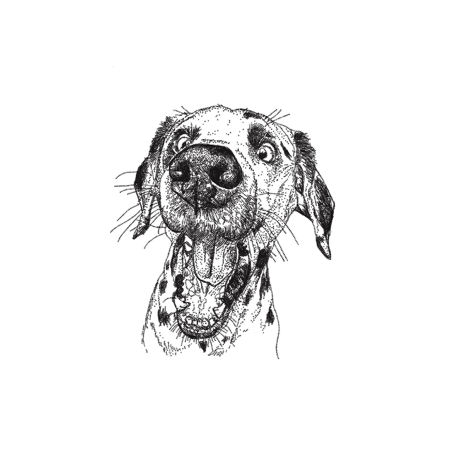 Funny Dog Print