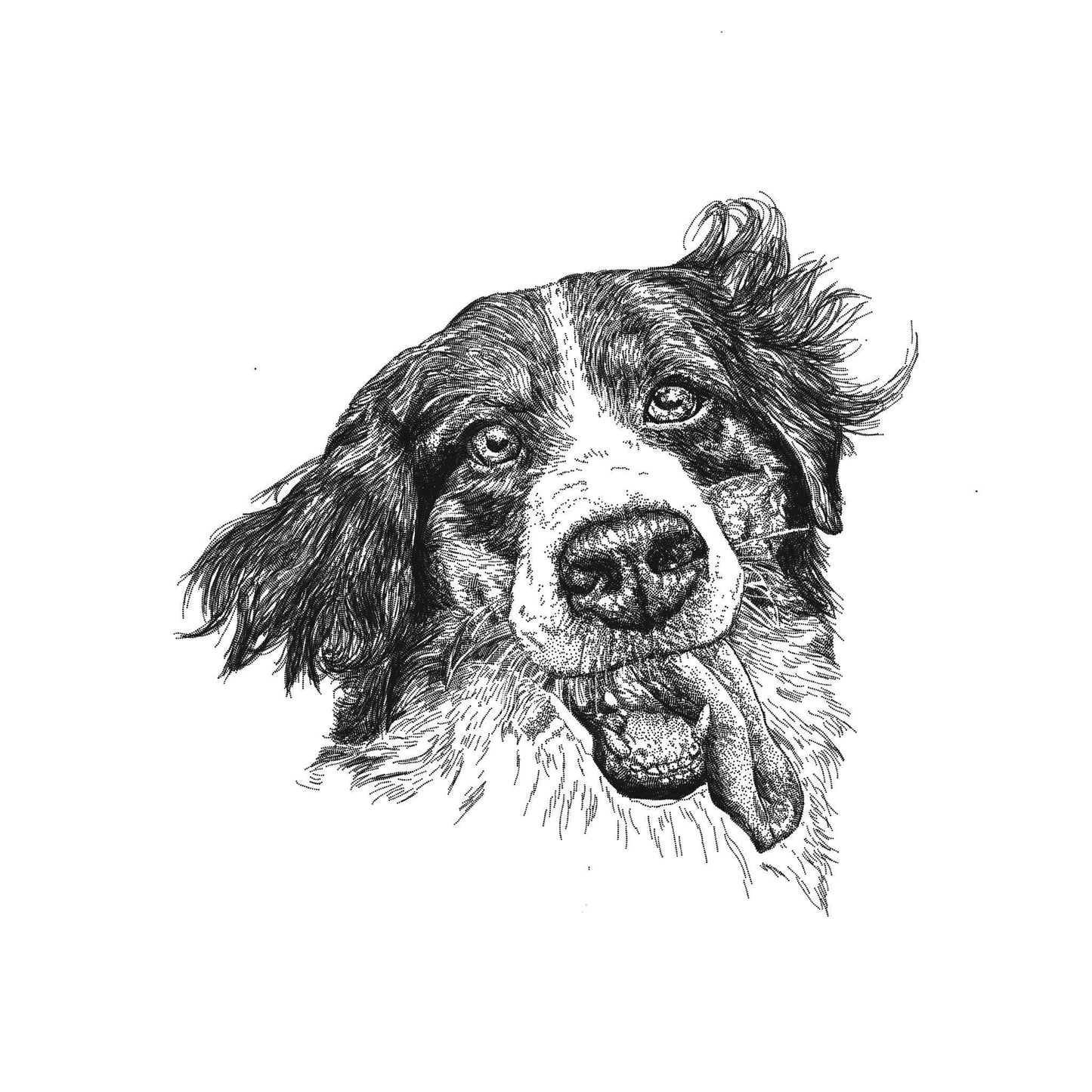 Funny Dog Print
