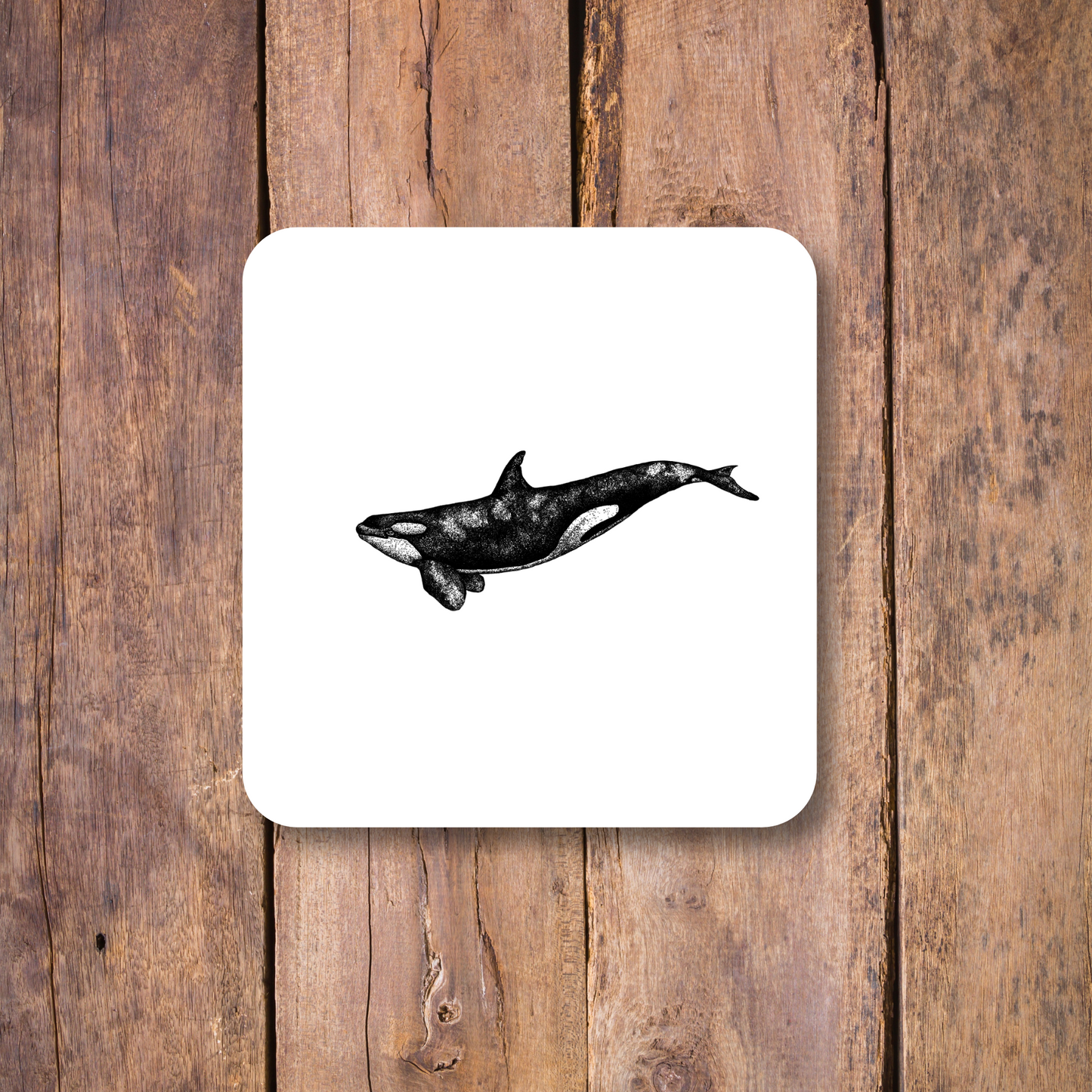 Orca Coaster