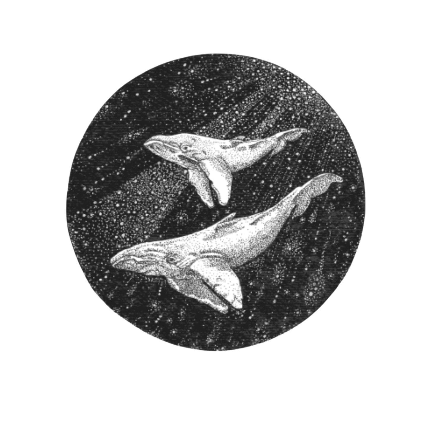 Whale and Calf Circle Art Print