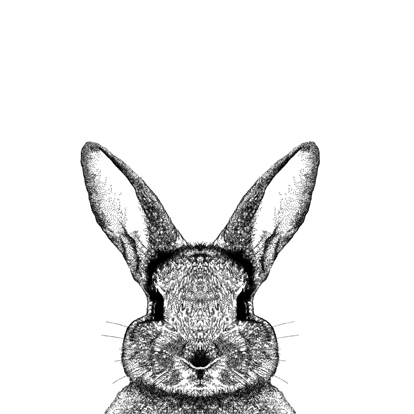 Rabbit Print