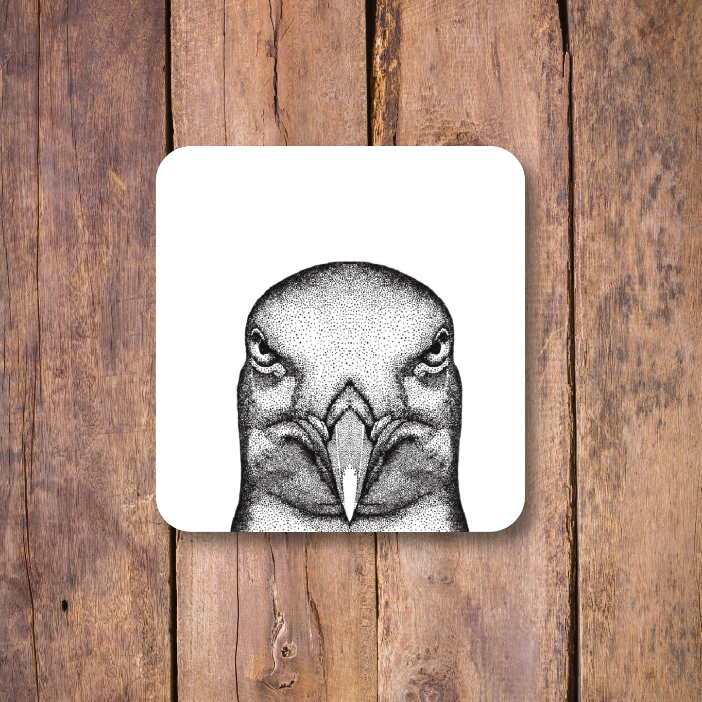 Seagull Coaster