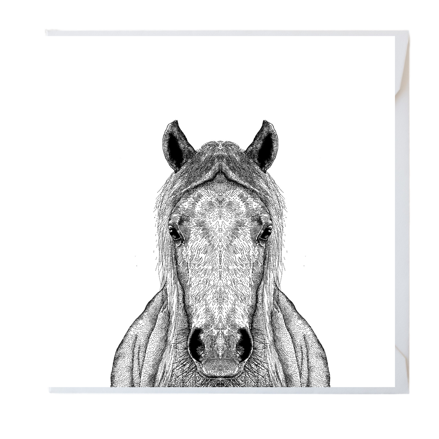Horse Greeting Card