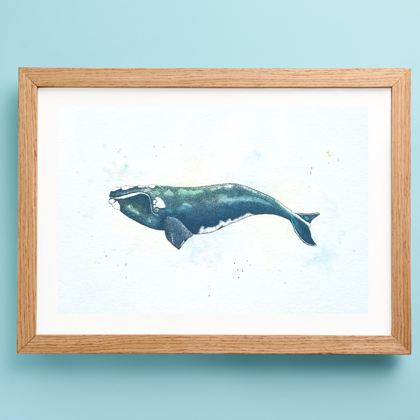 Atlantic Whale Print