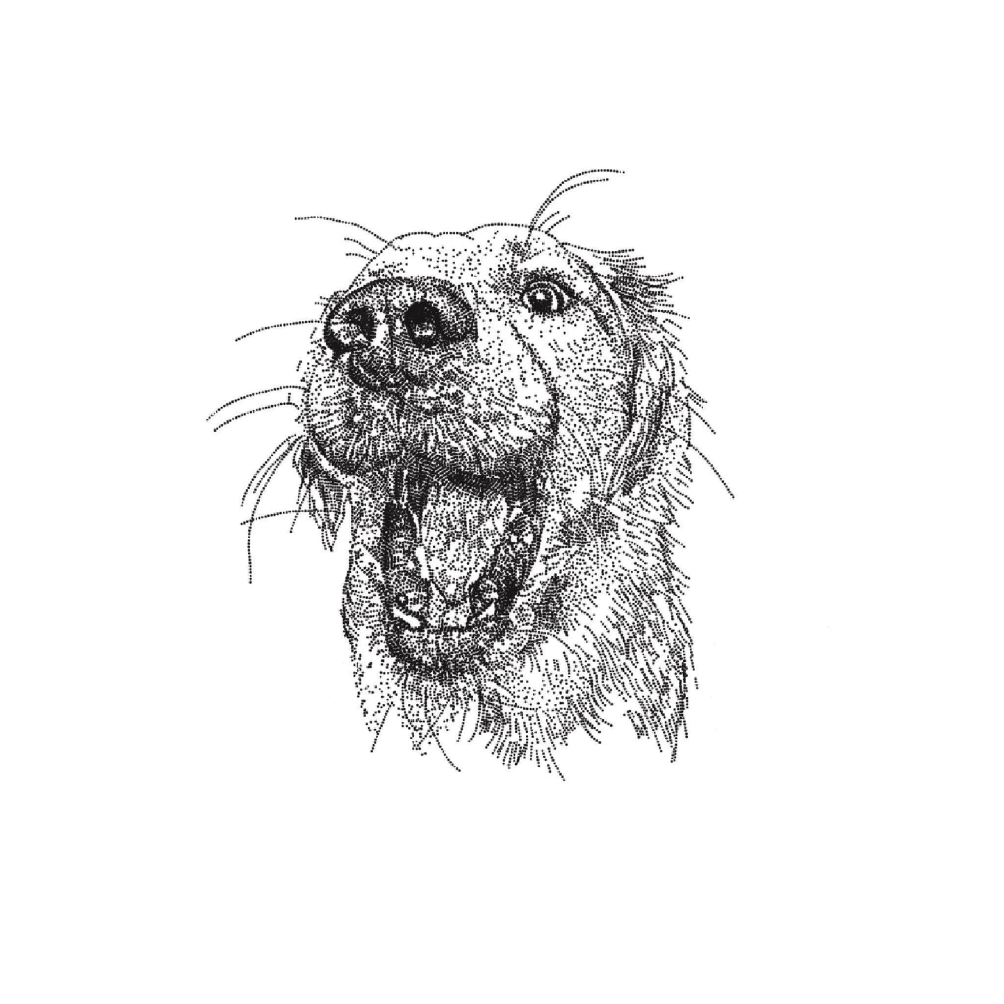 Funny Dog Print