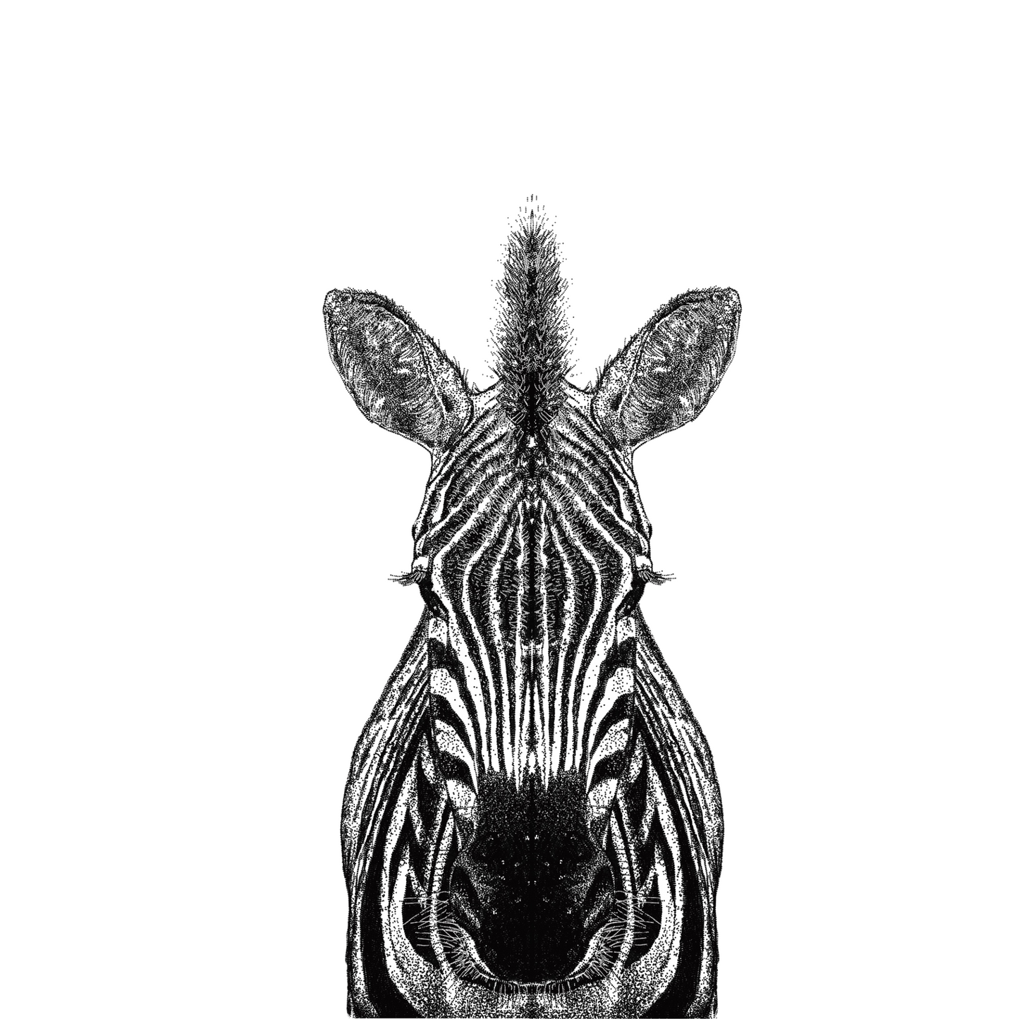 Zebra Print