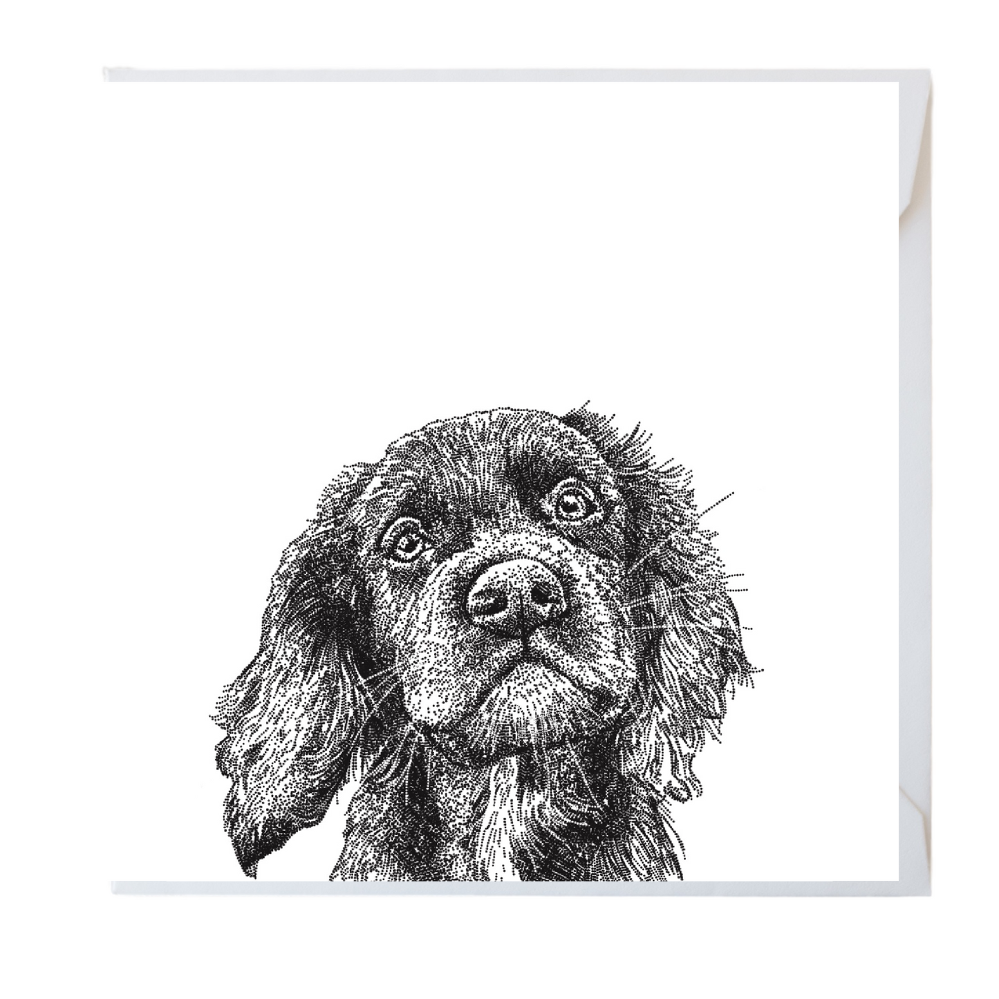 Spaniel Greeting Card
