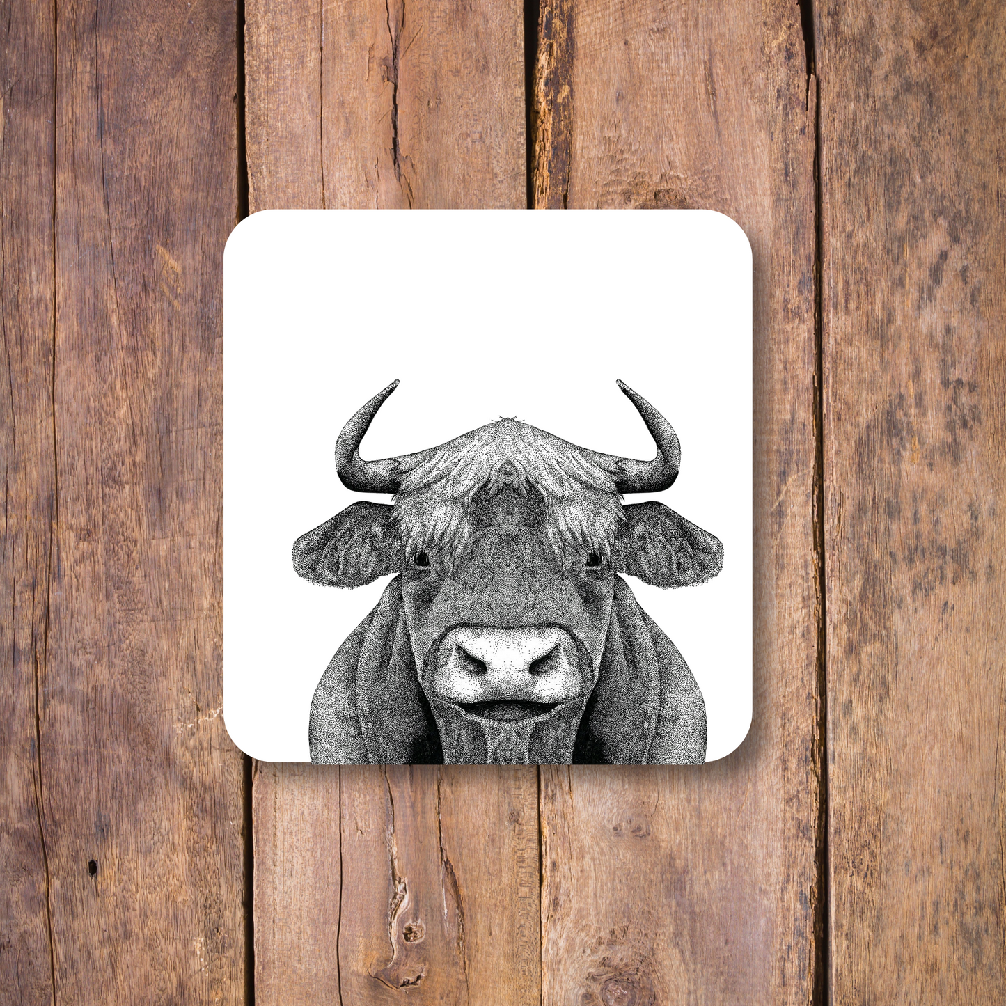 Highland Cow Coaster