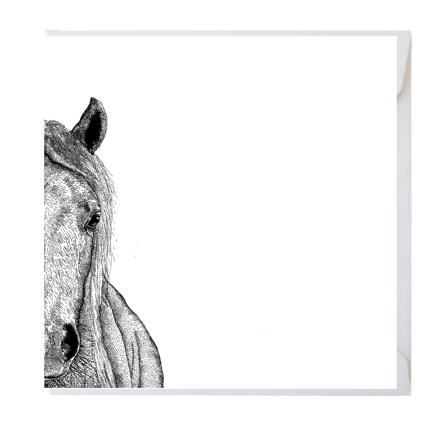Horse Greeting Card