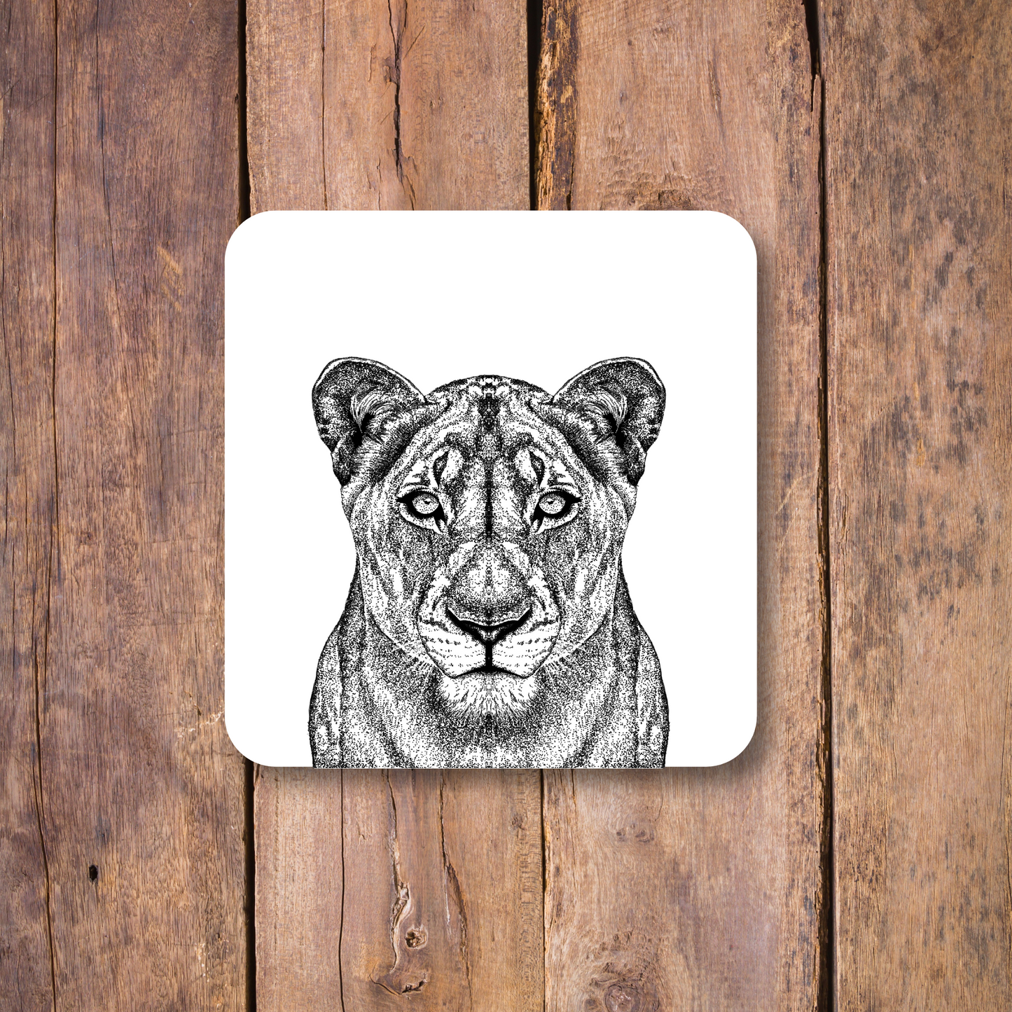 Lioness Coaster