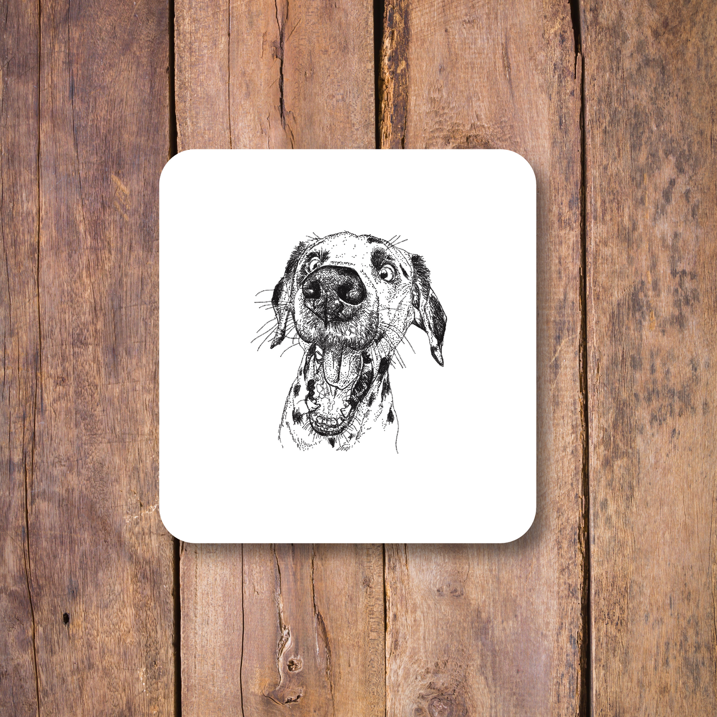 Dalmatian Coaster