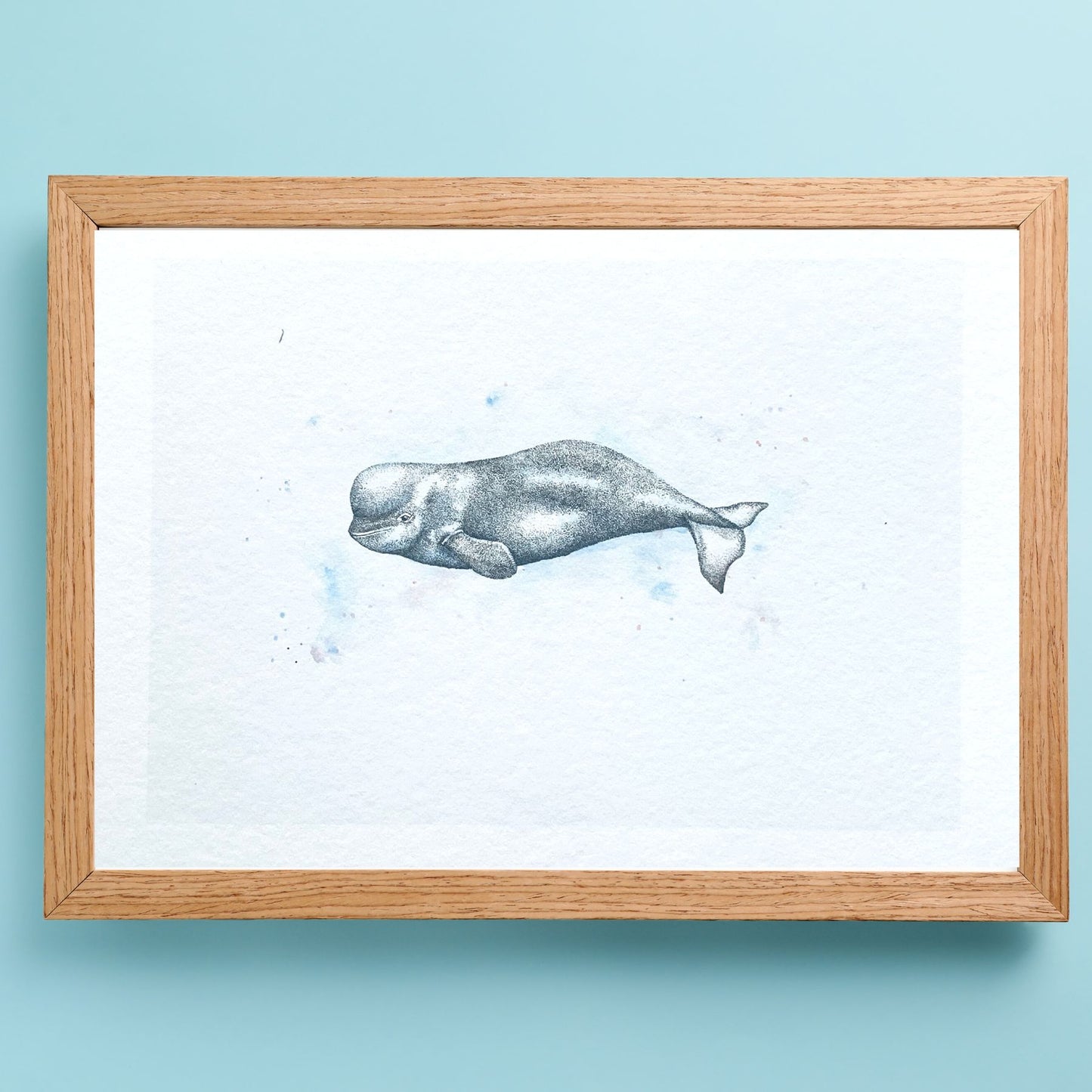 Beluga Whale Print
